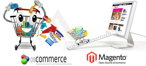 Ecommerce Website Development Company India